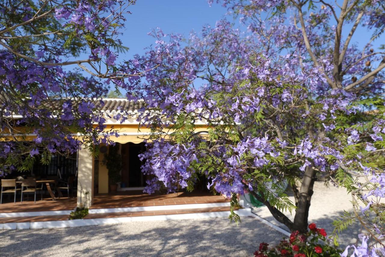 Finca Gordo Ríogordo Eksteriør billede