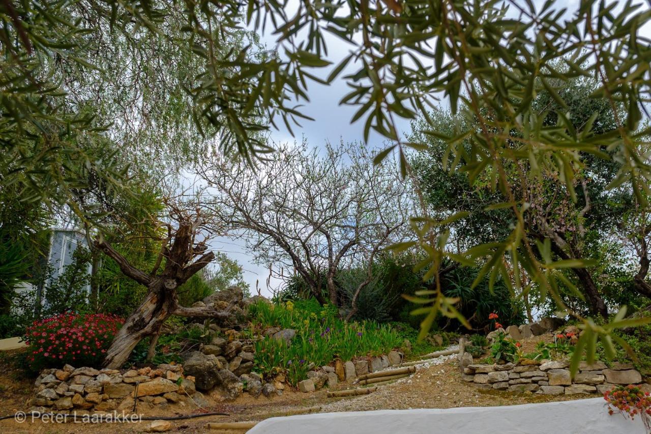 Finca Gordo Ríogordo Eksteriør billede